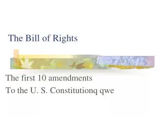 the bill of rights