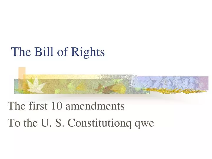 the bill of rights