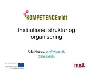 institutionel struktur og organisering