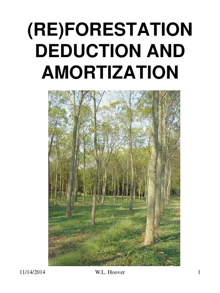 re forestation deduction and amortization