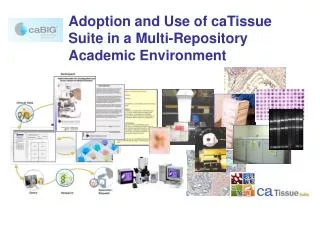Adoption and Use of caTissue Suite in a Multi-Repository Academic Environment