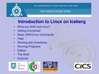 Introduction to Linux on Iceberg