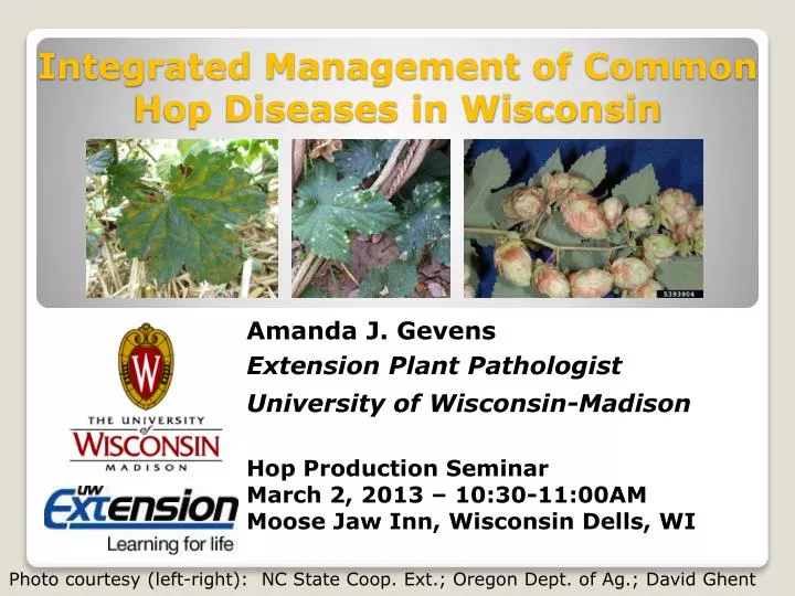 integrated management of common hop diseases in wisconsin