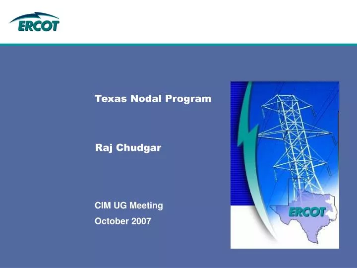 texas nodal program