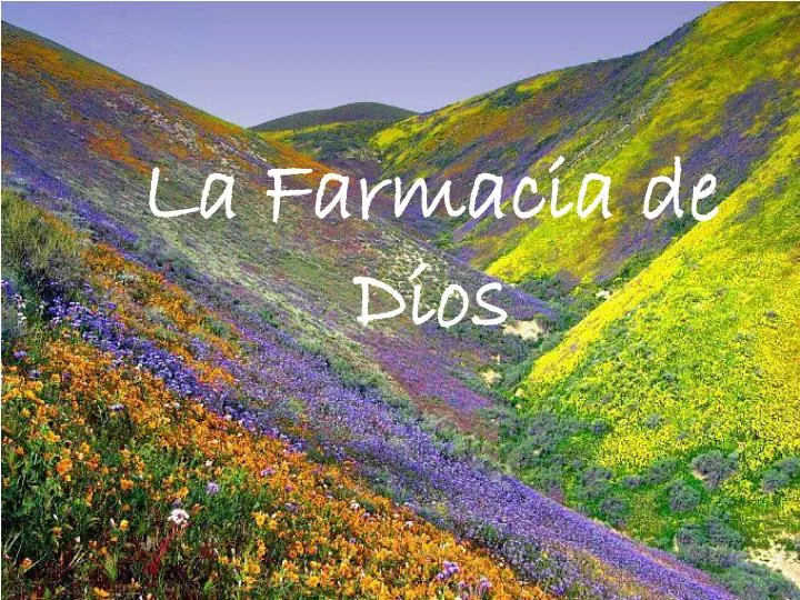 la farmacia de dios