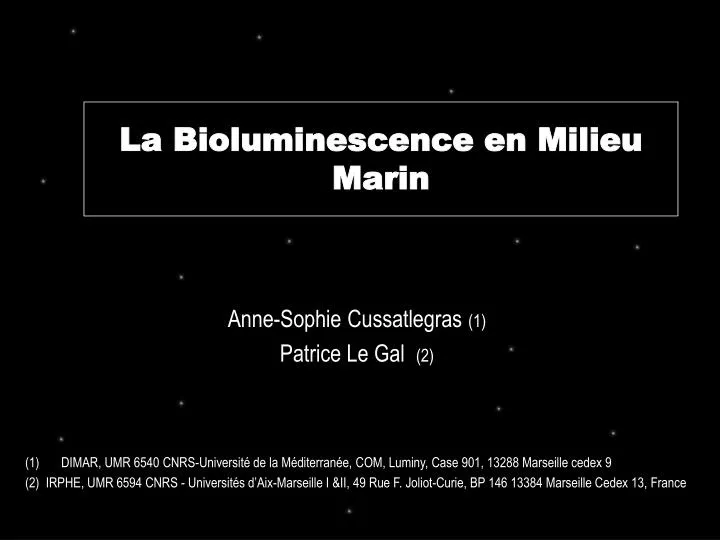 la bioluminescence en milieu marin