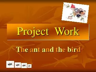 project work