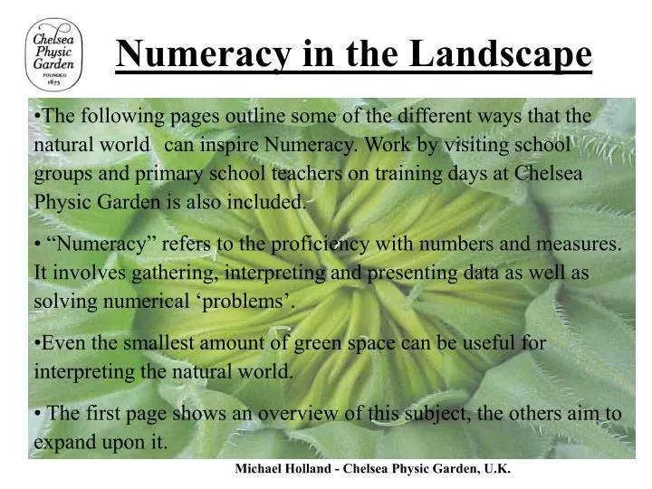 numeracy in the landscape