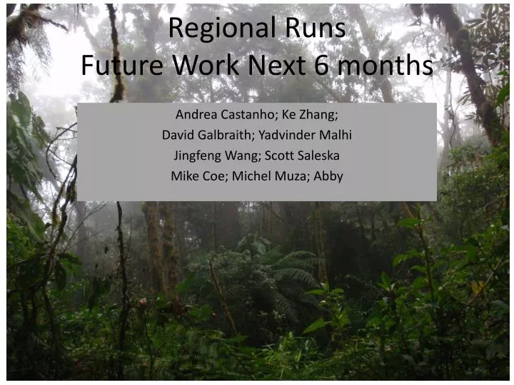 regional runs future work next 6 months