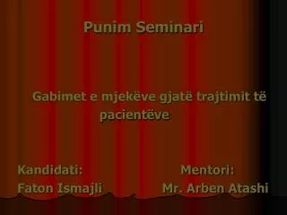 punim seminari