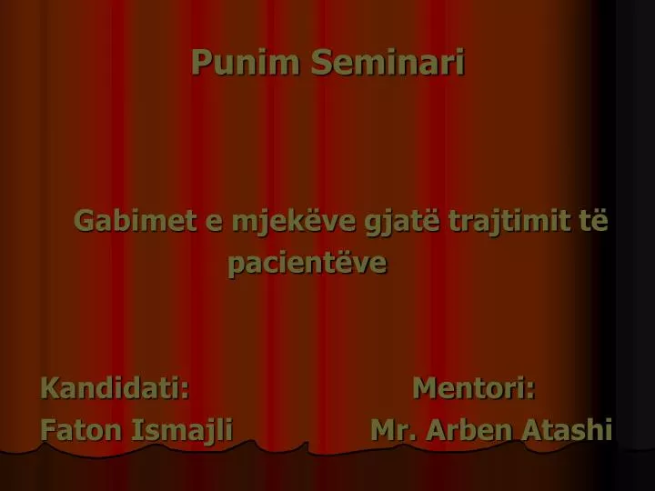 punim seminari