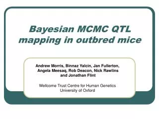 Bayesian MCMC QTL mapping in outbred mice