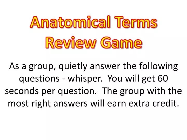 anatomical terms review game