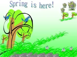 Spring is here!