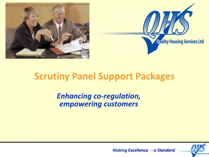 scrutiny panel support packages