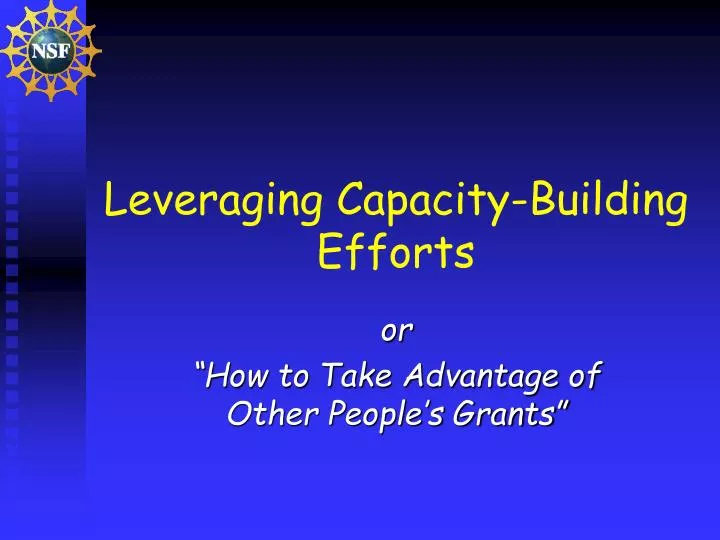 leveraging capacity building efforts