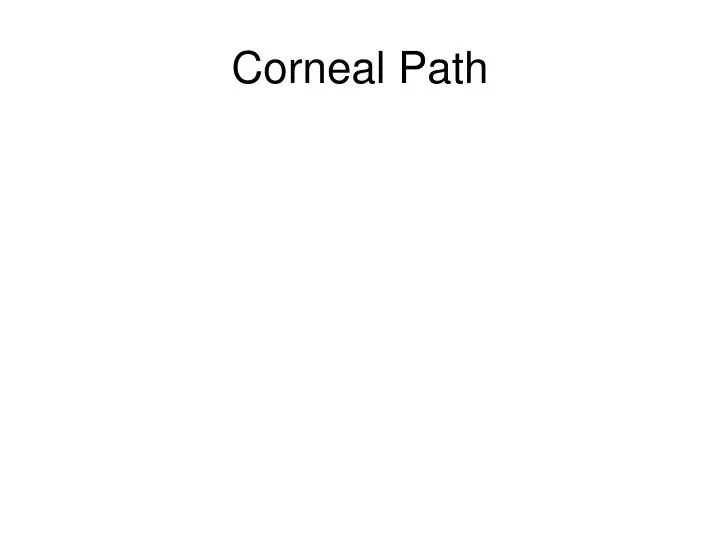 corneal path