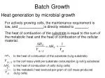 Batch Growth - slide 1
