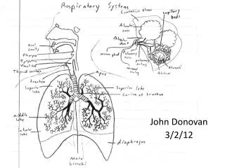 John Donovan 3/2/12