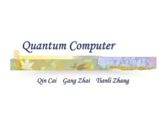 Quantum Computer