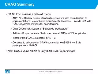 CAAG Summary