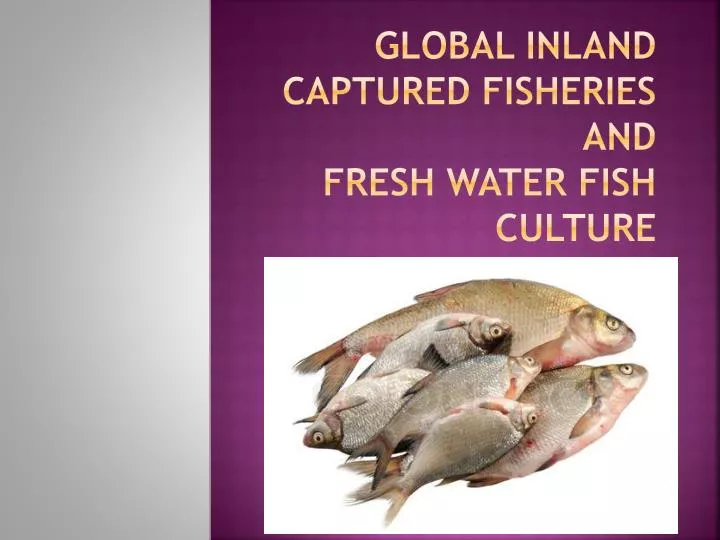 global inland captured fisheries and fresh water fish culture