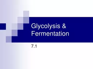 Glycolysis &amp; Fermentation