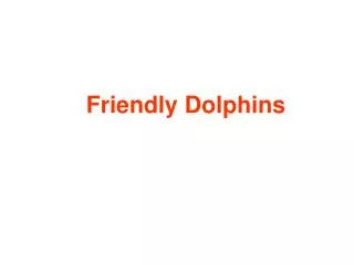 Friendly Dolphins