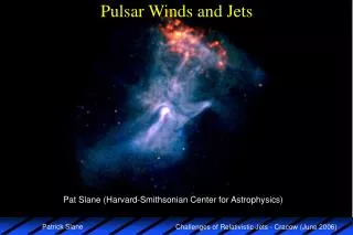 Pulsar Winds and Jets