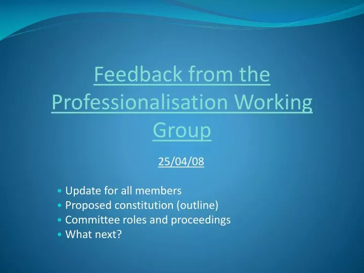 feedback from the professionalisation working group