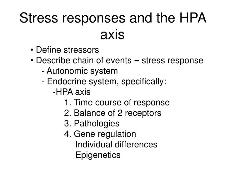 stress responses and the hpa axis