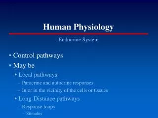 human physiology