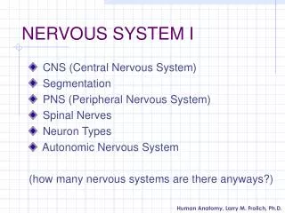 NERVOUS SYSTEM I
