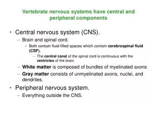 Vertebrate nervous systems have central and peripheral components