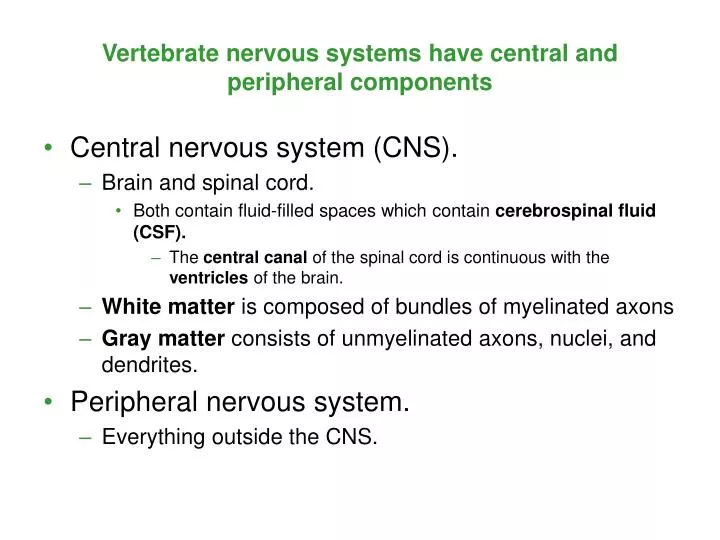 vertebrate nervous systems have central and peripheral components