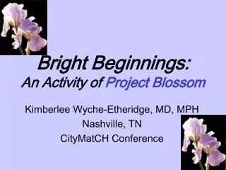 Bright Beginnings: An Activity of Project Blossom