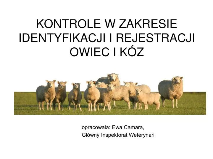 kontrole w zakresie identyfikacji i rejestracji owiec i k z