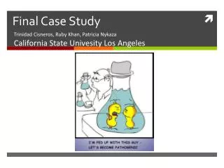 Final Case Study