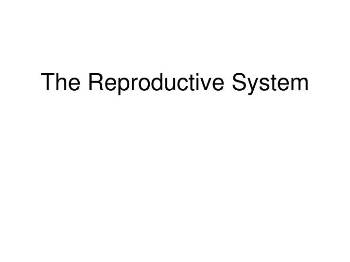 the reproductive system