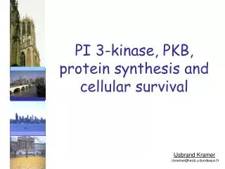 PI 3-kinase, PKB, protein synthesis and cellular survival