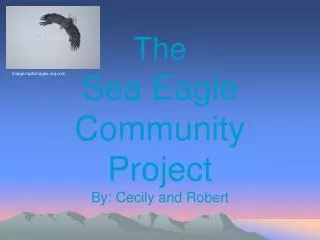 The Sea Eagle Community Project By: Cecily and Robert