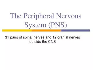 the peripheral nervous system pns