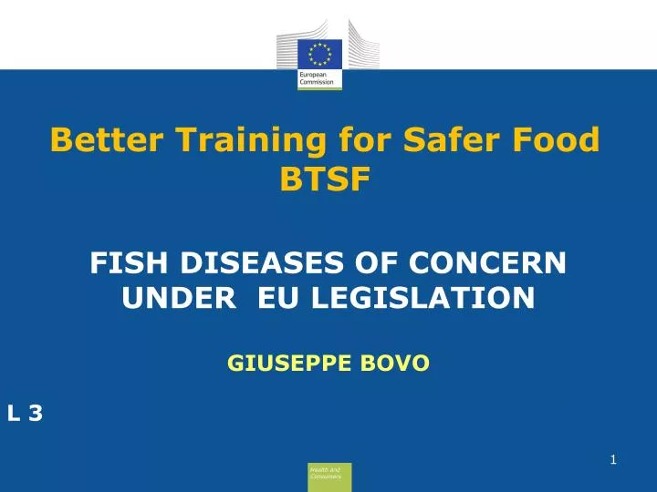 better training for safer food btsf