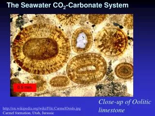 The Seawater CO 2 -Carbonate System