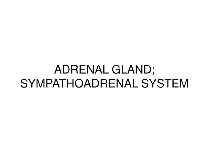 adrenal gland sympathoadrenal system
