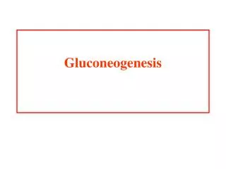 Gluconeogenesis