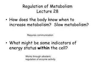Regulation of Metabolism Lecture 28
