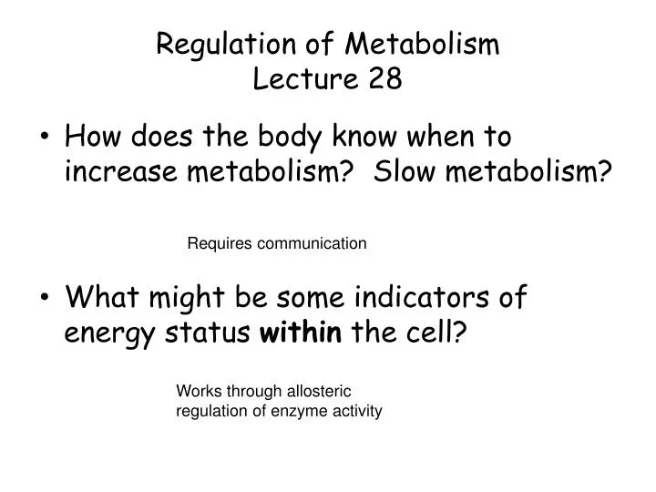 regulation of metabolism lecture 28