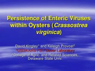 Persistence of Enteric Viruses within Oysters ( Crassostrea virginica )