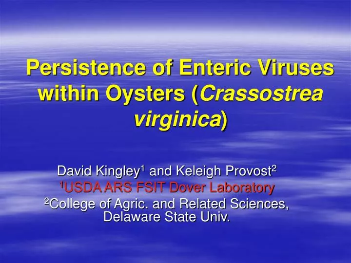 persistence of enteric viruses within oysters crassostrea virginica